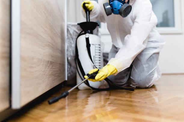 Flea Control Services in Manville, NJ