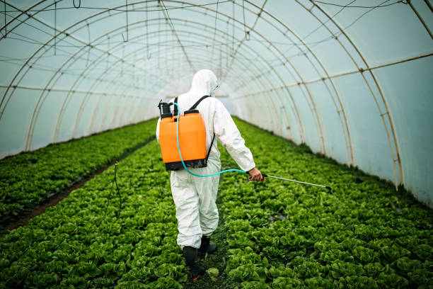 Reliable Manville, NJ Pest Control Solutions