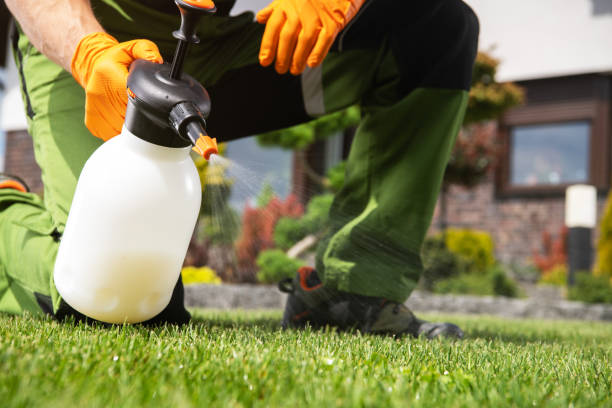 Best Cockroach Control Services  in Manville, NJ