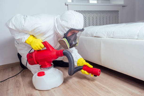 Best Wasp Removal Services  in Manville, NJ