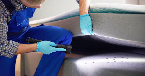 Best Affordable Pest Control Services  in Manville, NJ