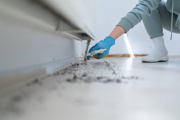 Best Pest Removal Services  in Manville, NJ