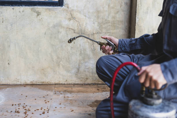 Best Best Pest Control Companies  in Manville, NJ